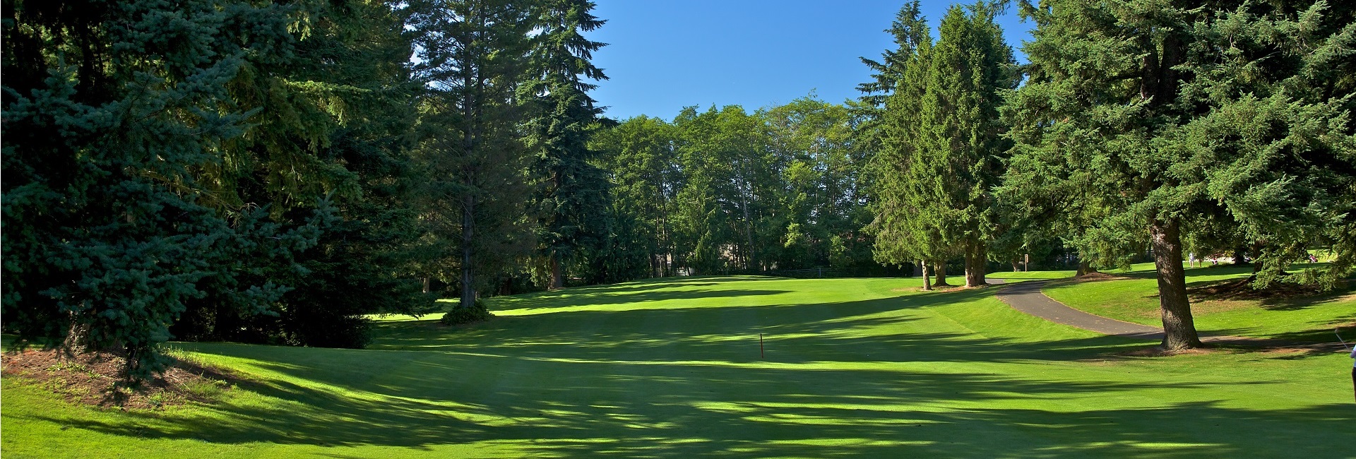 Sprawling golf course with trees