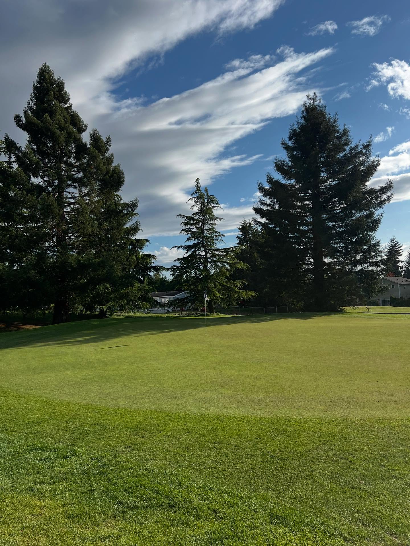 Hole 11